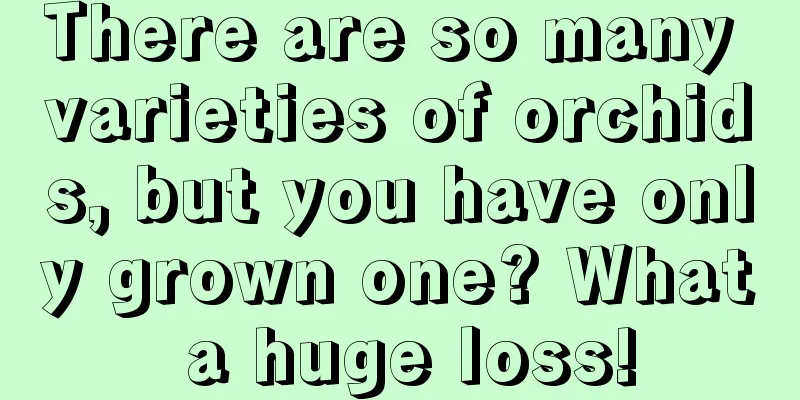 There are so many varieties of orchids, but you have only grown one? What a huge loss!
