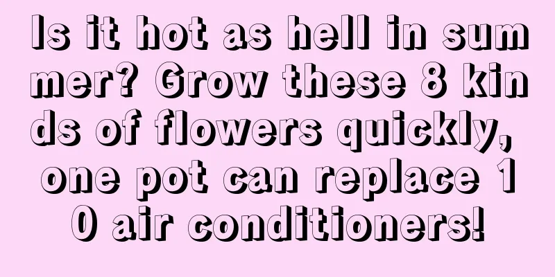 Is it hot as hell in summer? Grow these 8 kinds of flowers quickly, one pot can replace 10 air conditioners!