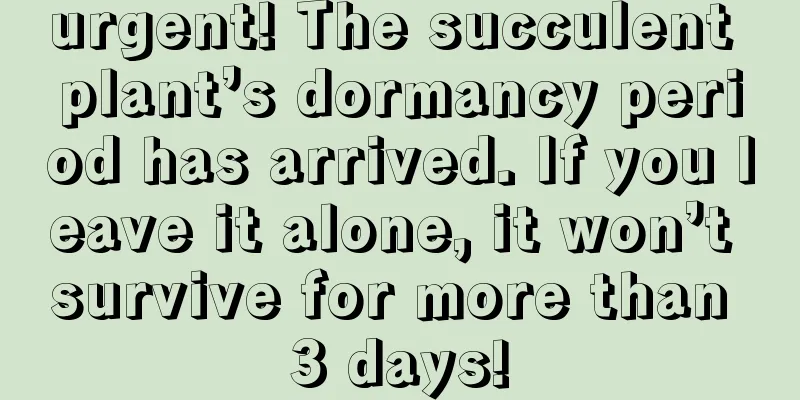 urgent! The succulent plant’s dormancy period has arrived. If you leave it alone, it won’t survive for more than 3 days!