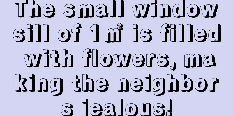 The small windowsill of 1㎡ is filled with flowers, making the neighbors jealous!