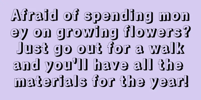 Afraid of spending money on growing flowers? Just go out for a walk and you’ll have all the materials for the year!