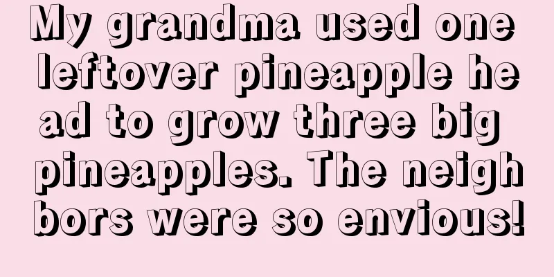 My grandma used one leftover pineapple head to grow three big pineapples. The neighbors were so envious!