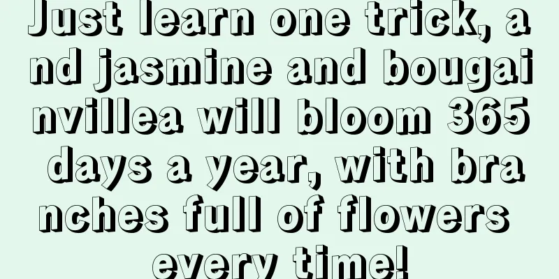 Just learn one trick, and jasmine and bougainvillea will bloom 365 days a year, with branches full of flowers every time!