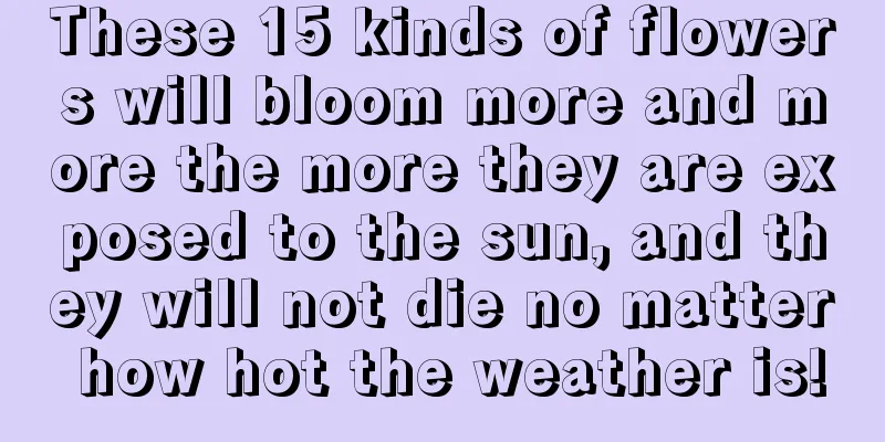 These 15 kinds of flowers will bloom more and more the more they are exposed to the sun, and they will not die no matter how hot the weather is!