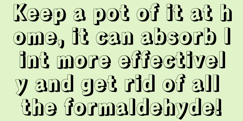 Keep a pot of it at home, it can absorb lint more effectively and get rid of all the formaldehyde!