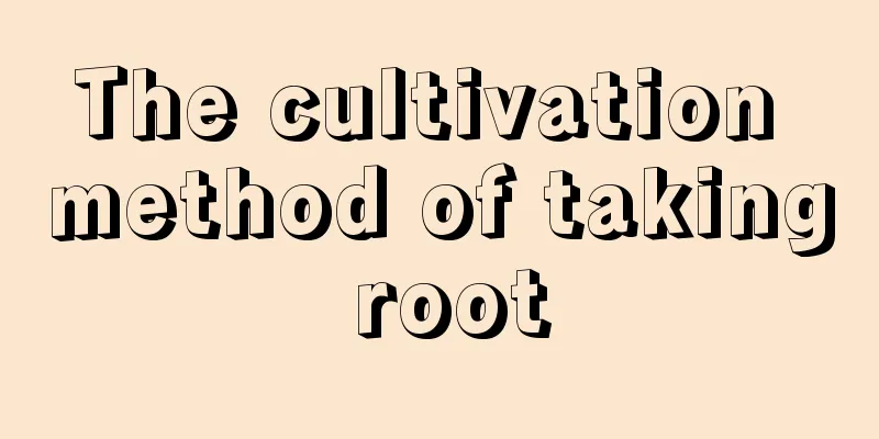 The cultivation method of taking root