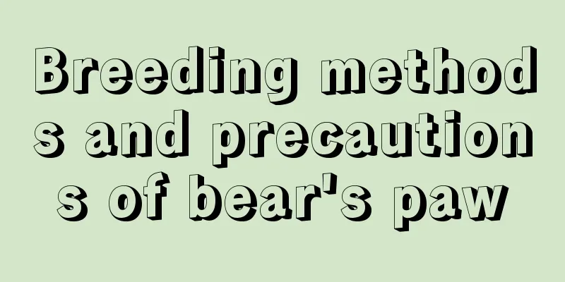 Breeding methods and precautions of bear's paw