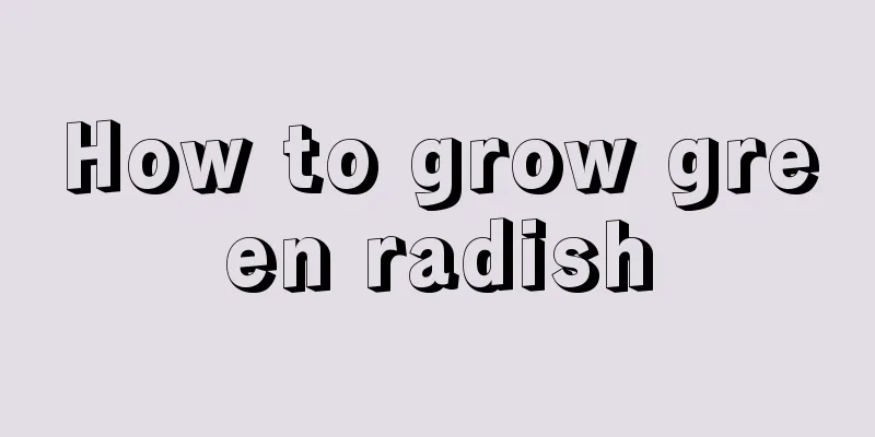 How to grow green radish