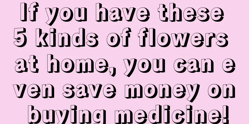 If you have these 5 kinds of flowers at home, you can even save money on buying medicine!