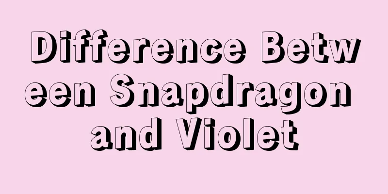 Difference Between Snapdragon and Violet