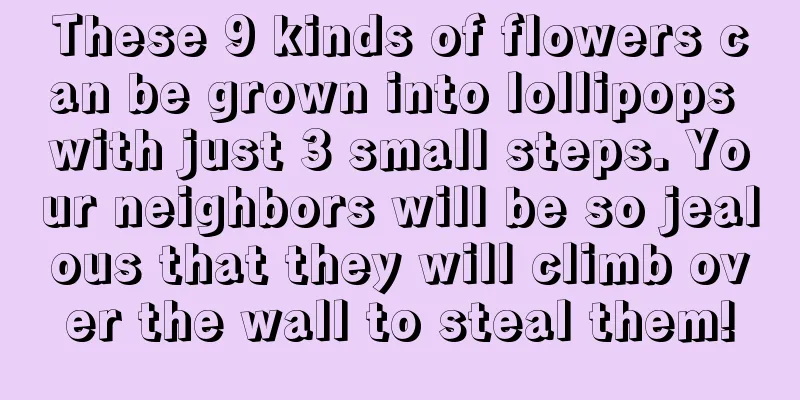 These 9 kinds of flowers can be grown into lollipops with just 3 small steps. Your neighbors will be so jealous that they will climb over the wall to steal them!