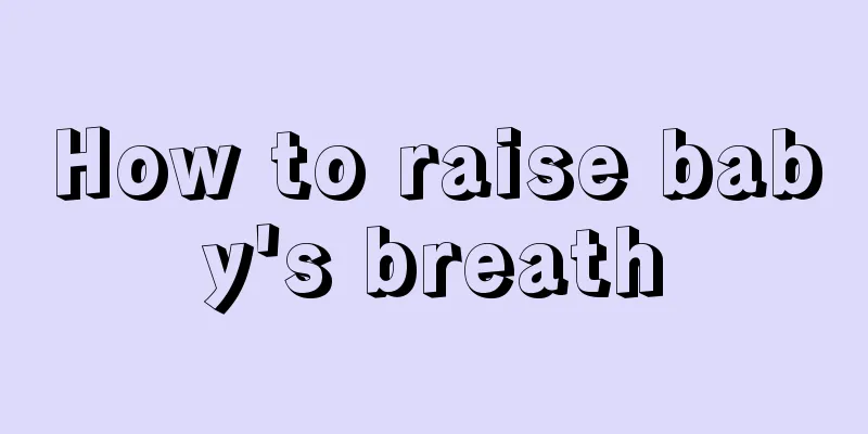 How to raise baby's breath