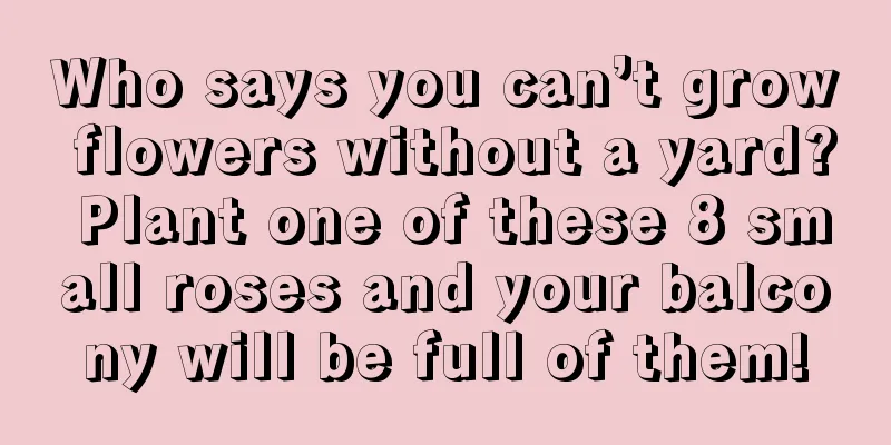 Who says you can’t grow flowers without a yard? Plant one of these 8 small roses and your balcony will be full of them!