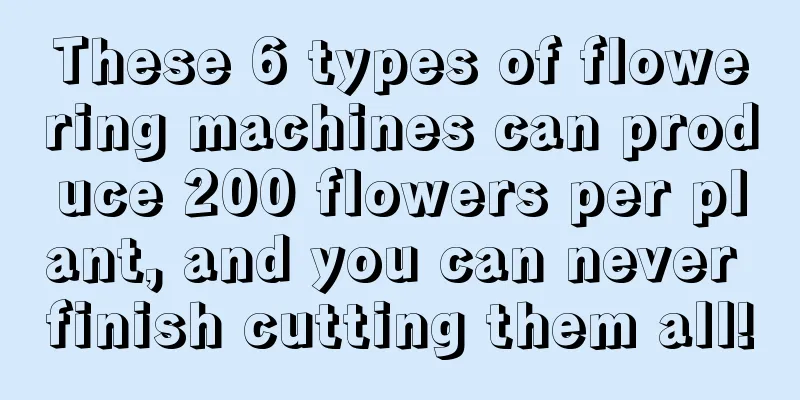 These 6 types of flowering machines can produce 200 flowers per plant, and you can never finish cutting them all!