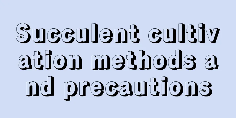 Succulent cultivation methods and precautions