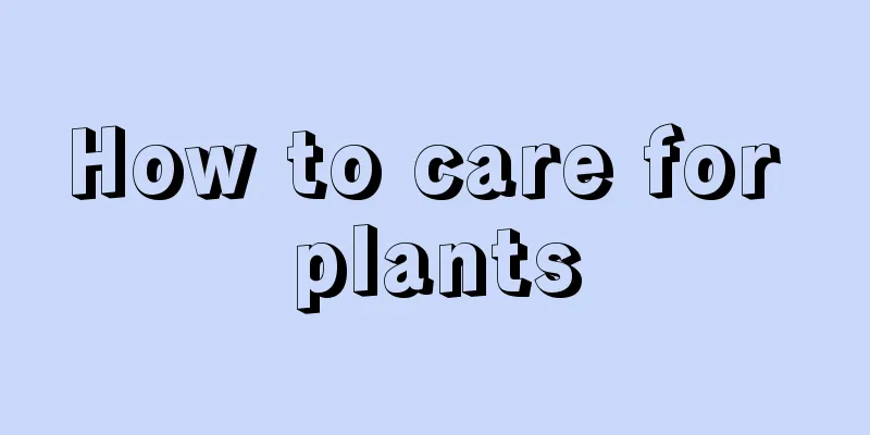 How to care for plants