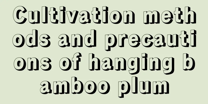 Cultivation methods and precautions of hanging bamboo plum