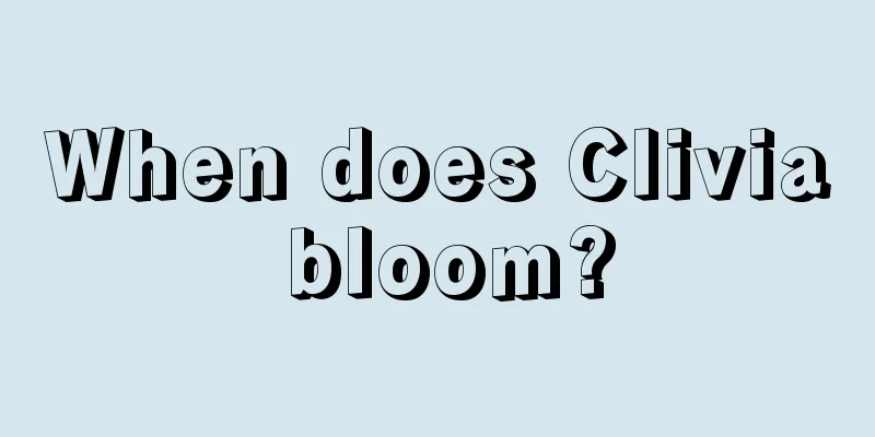 When does Clivia bloom?