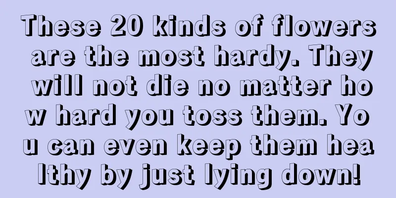 These 20 kinds of flowers are the most hardy. They will not die no matter how hard you toss them. You can even keep them healthy by just lying down!