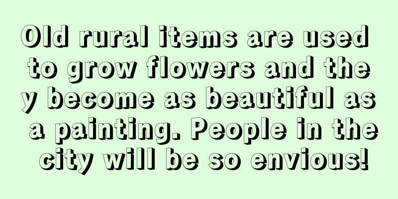 Old rural items are used to grow flowers and they become as beautiful as a painting. People in the city will be so envious!