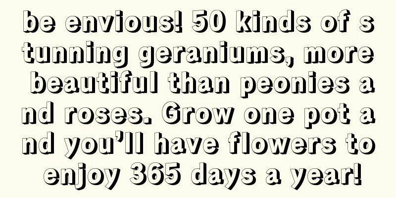 be envious! 50 kinds of stunning geraniums, more beautiful than peonies and roses. Grow one pot and you’ll have flowers to enjoy 365 days a year!