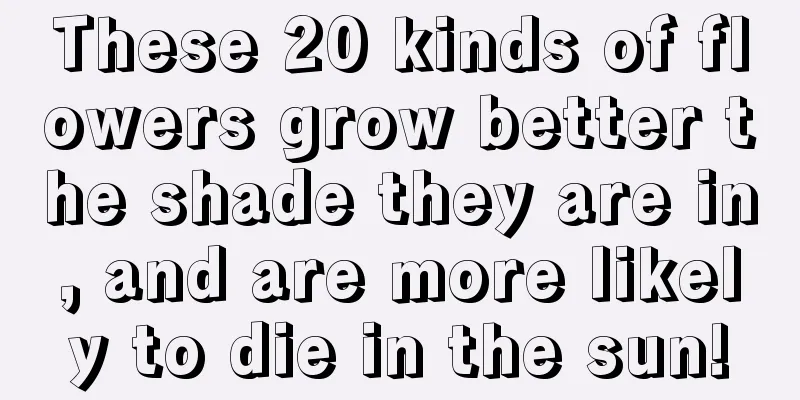 These 20 kinds of flowers grow better the shade they are in, and are more likely to die in the sun!