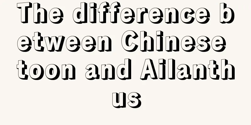 The difference between Chinese toon and Ailanthus