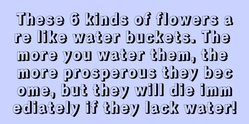 These 6 kinds of flowers are like water buckets. The more you water them, the more prosperous they become, but they will die immediately if they lack water!