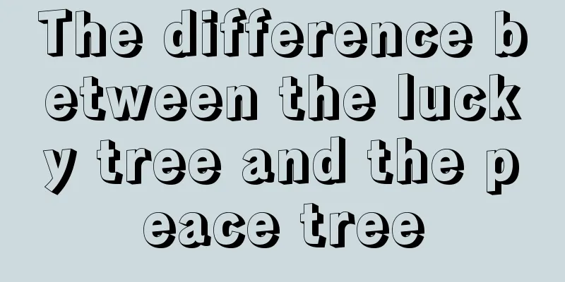 The difference between the lucky tree and the peace tree