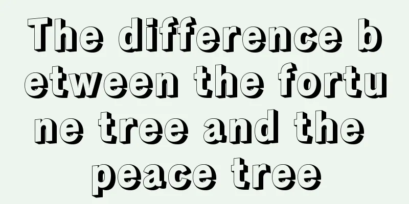 The difference between the fortune tree and the peace tree