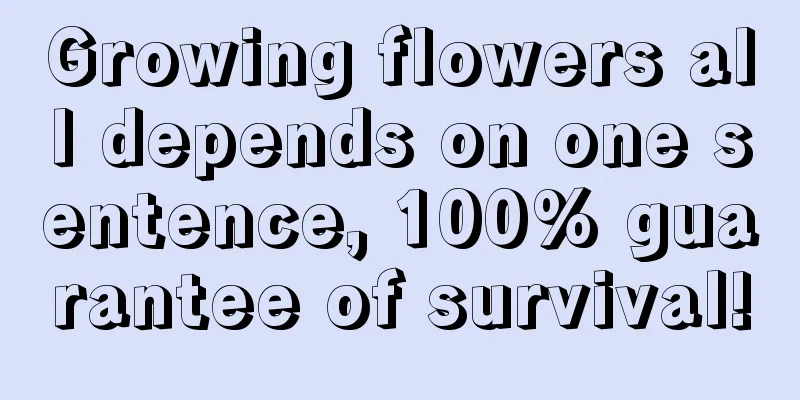 Growing flowers all depends on one sentence, 100% guarantee of survival!