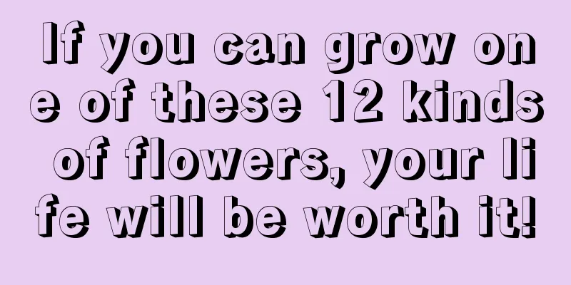 If you can grow one of these 12 kinds of flowers, your life will be worth it!