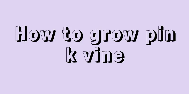 How to grow pink vine