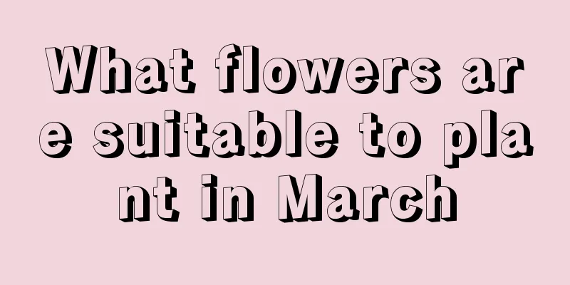 What flowers are suitable to plant in March