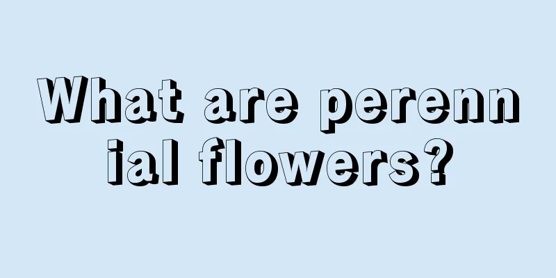 What are perennial flowers?