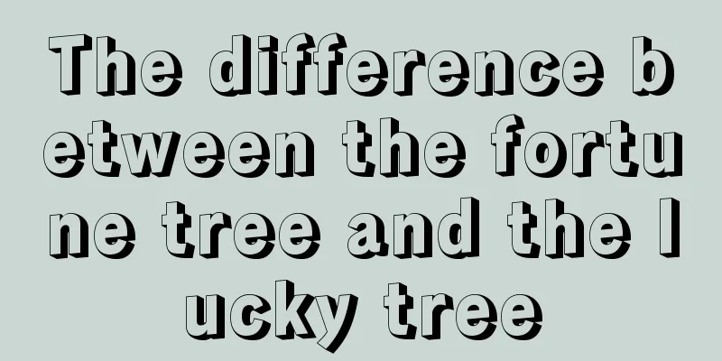 The difference between the fortune tree and the lucky tree