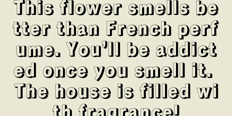 This flower smells better than French perfume. You’ll be addicted once you smell it. The house is filled with fragrance!