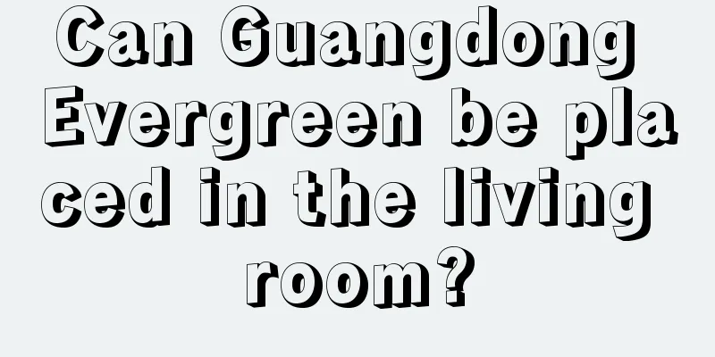 Can Guangdong Evergreen be placed in the living room?