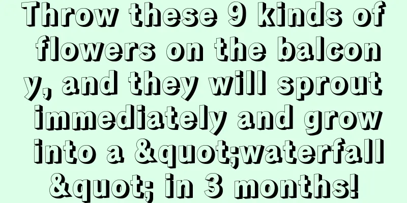 Throw these 9 kinds of flowers on the balcony, and they will sprout immediately and grow into a "waterfall" in 3 months!