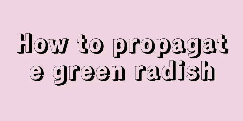 How to propagate green radish