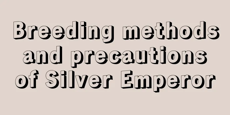 Breeding methods and precautions of Silver Emperor