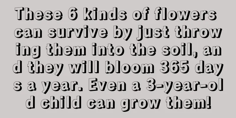 These 6 kinds of flowers can survive by just throwing them into the soil, and they will bloom 365 days a year. Even a 3-year-old child can grow them!