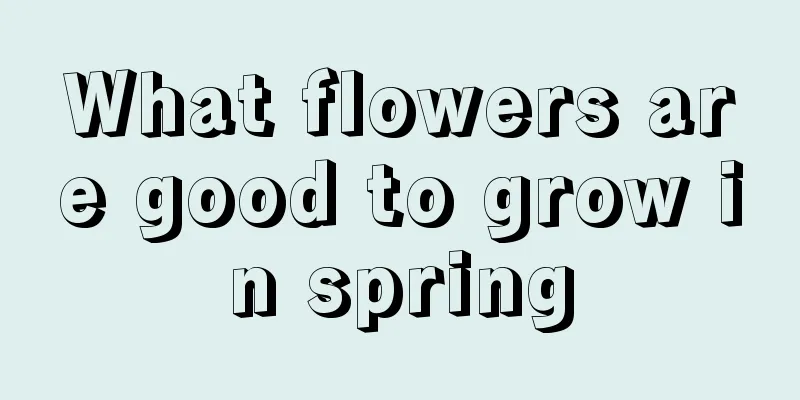 What flowers are good to grow in spring