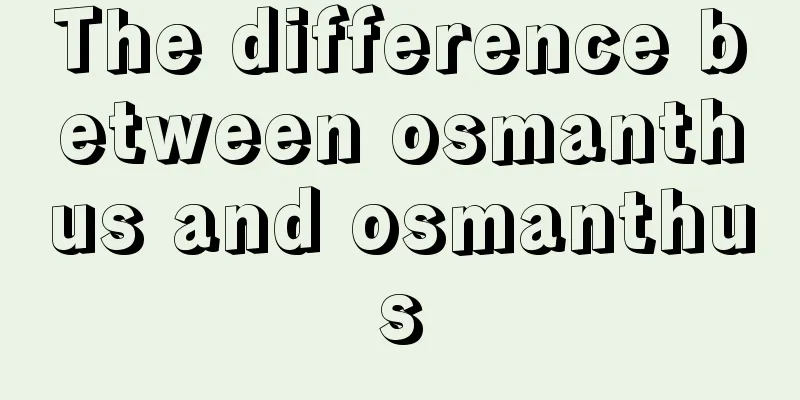 The difference between osmanthus and osmanthus