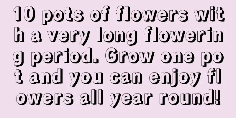 10 pots of flowers with a very long flowering period. Grow one pot and you can enjoy flowers all year round!