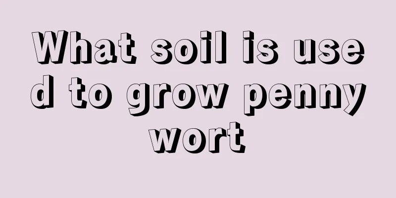 What soil is used to grow pennywort