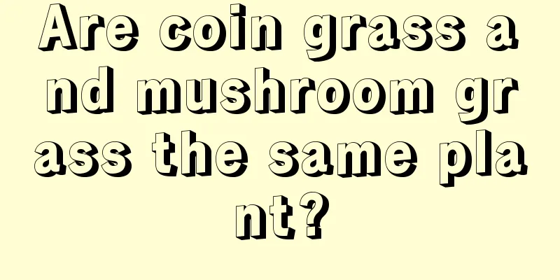 Are coin grass and mushroom grass the same plant?