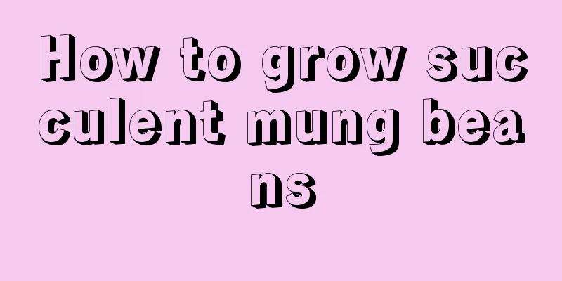 How to grow succulent mung beans