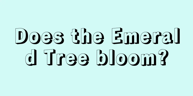 Does the Emerald Tree bloom?