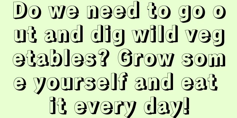 Do we need to go out and dig wild vegetables? Grow some yourself and eat it every day!